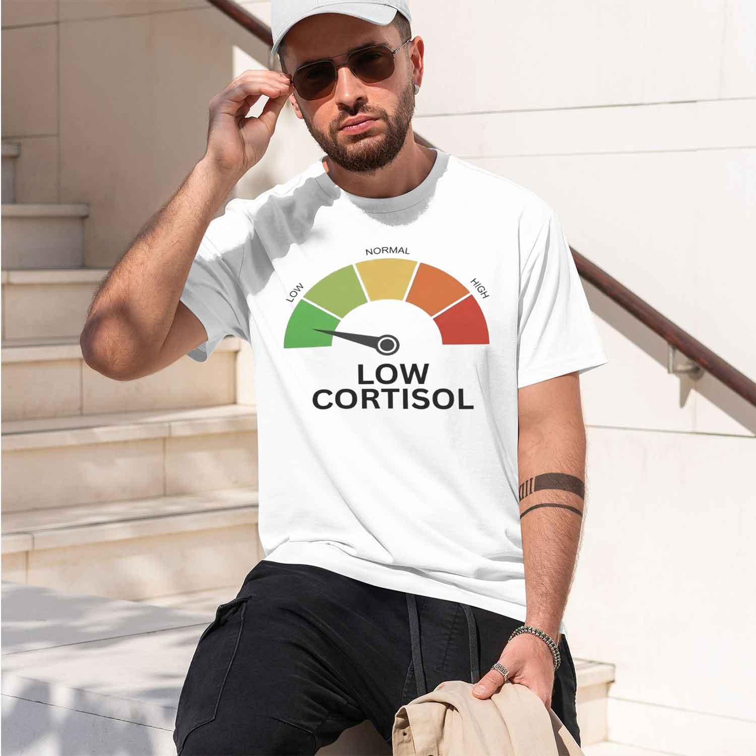 Causal Style Men's T-Shirt Low - огляд і ціна Health Wellness Gifts For Men