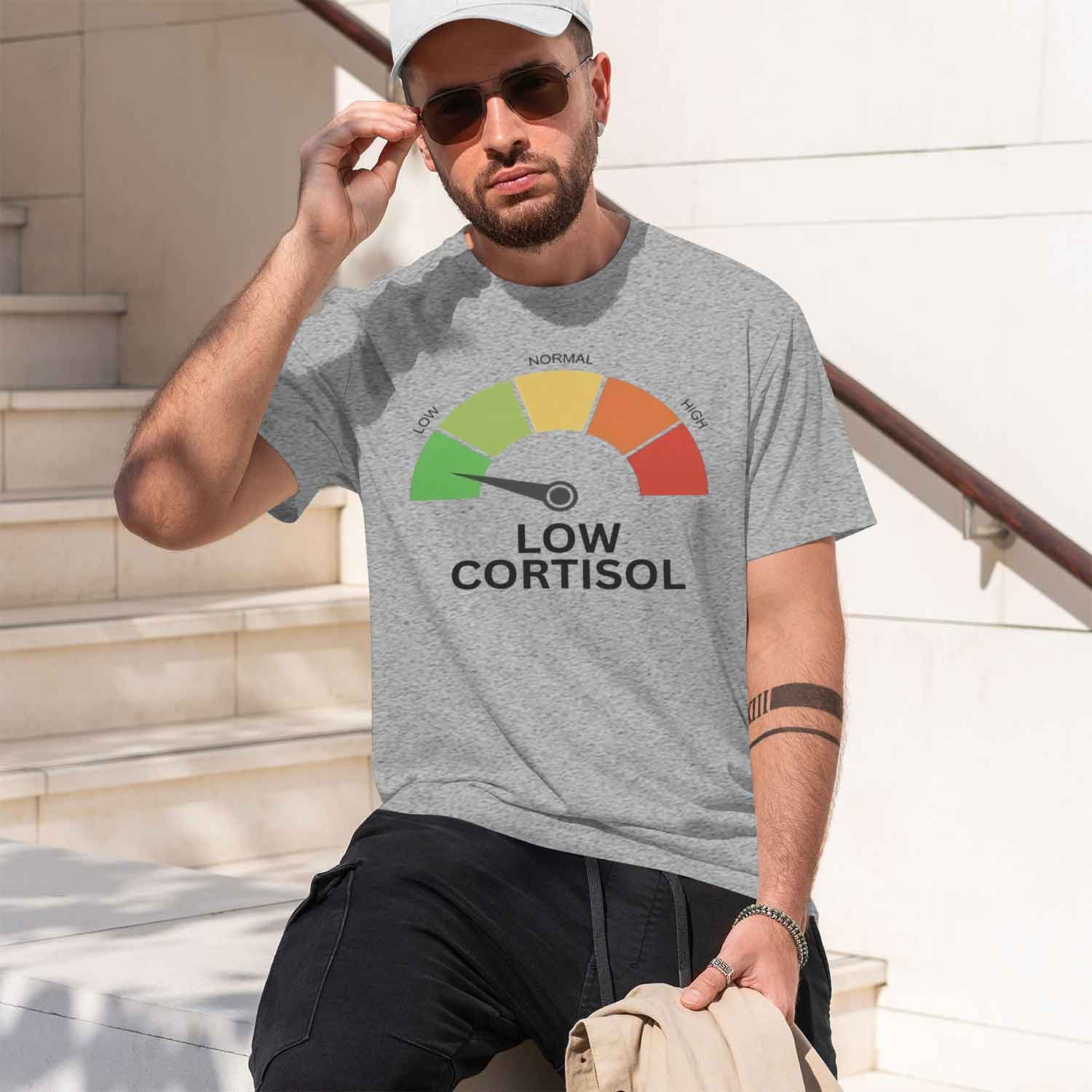 Causal Style Men's T-Shirt Low - огляд і ціна Health Wellness Gifts For Men