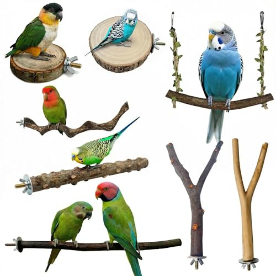 8PCS natural wood bird perches - огляд і ціна Health & Wellness Alegria